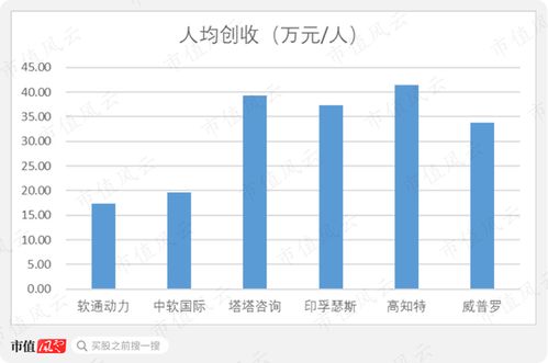 軟通動(dòng)力 私有化后的曲折上市路，軟件外包巨頭能否借注冊制圓夢？