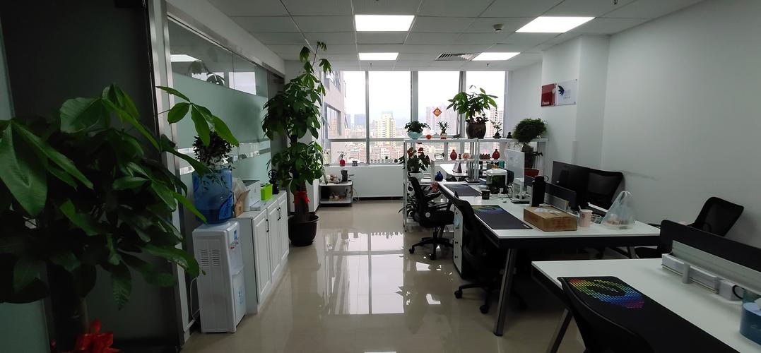 點亮價值服務，賦能韌性成長——教育與企業咨詢服務的多維實踐